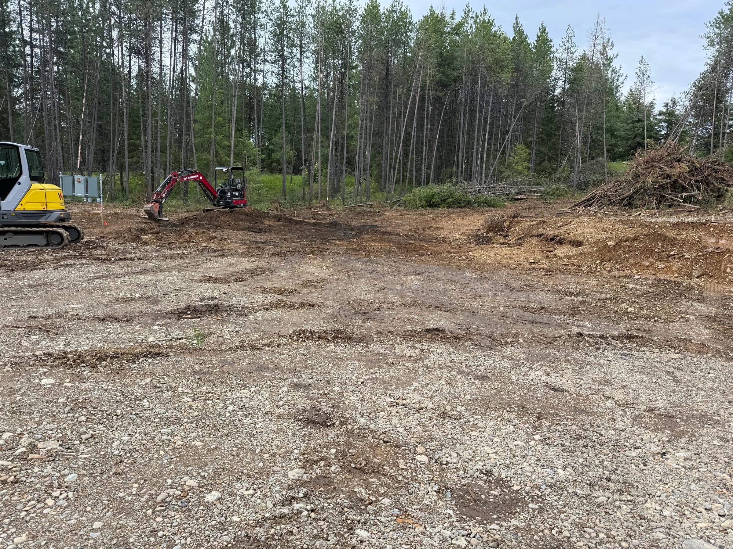 Compact excavators across a cleared gravel work area beside trees