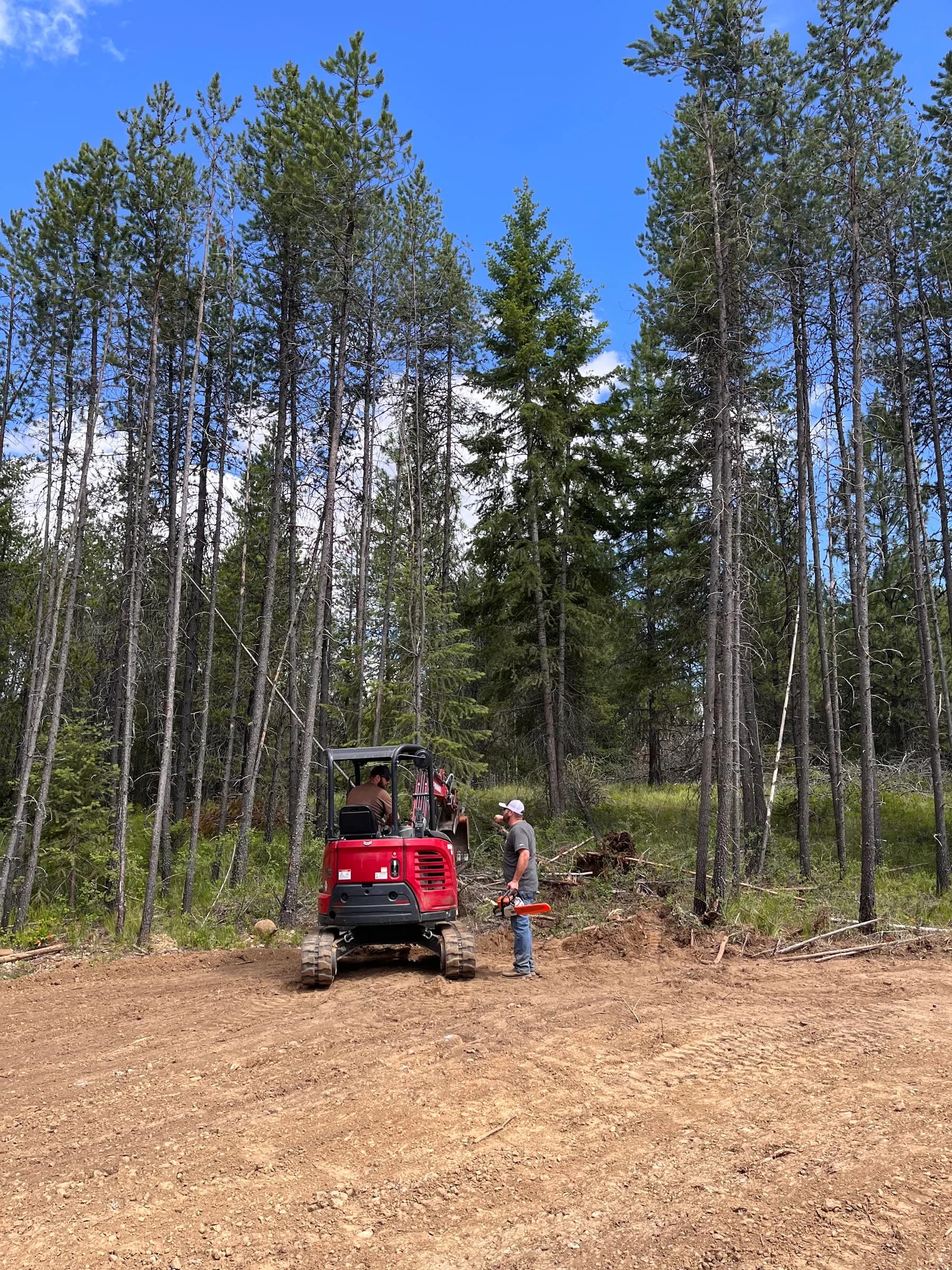 People and a red compact excavator beside the treeline